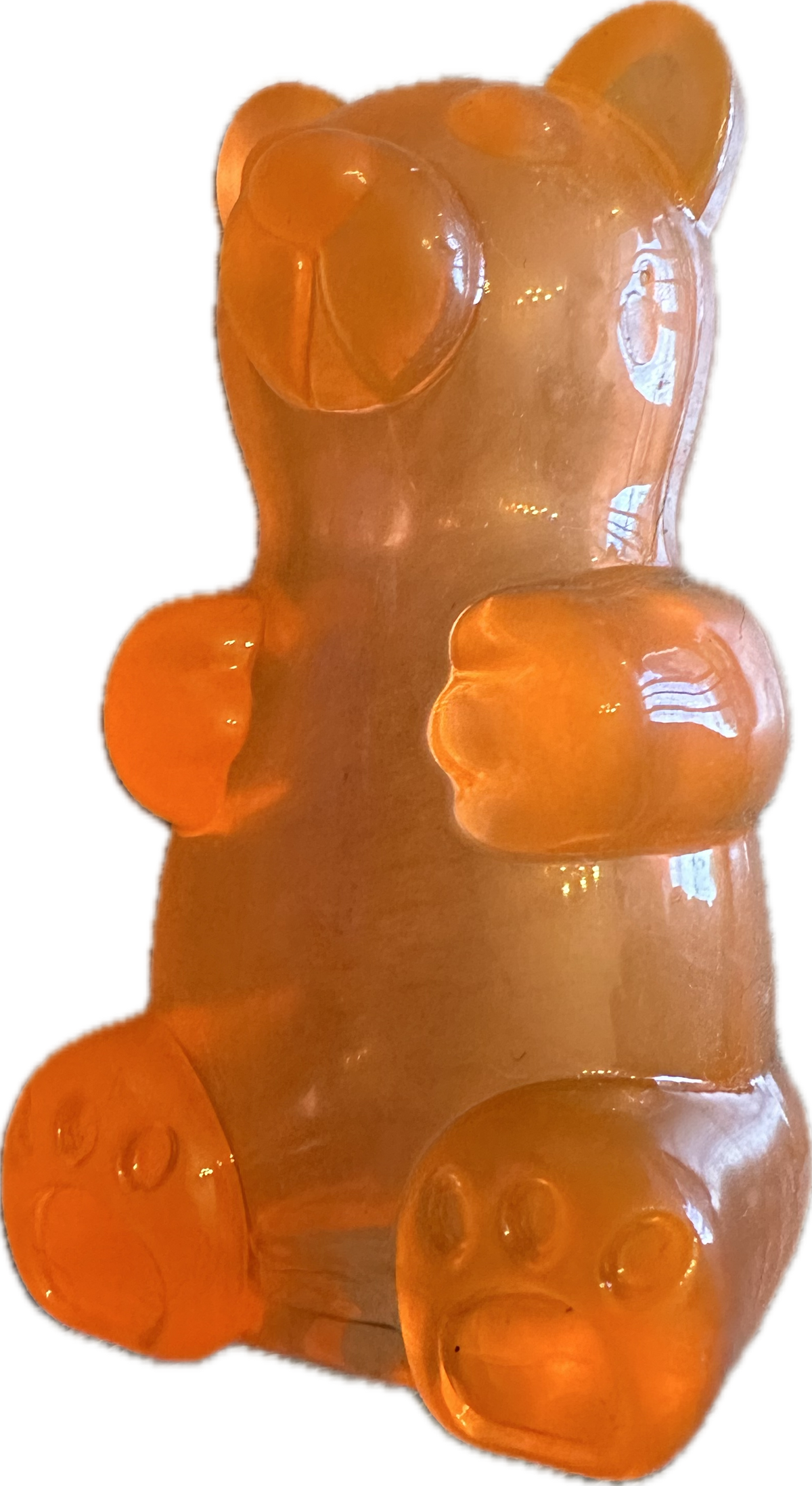 Gioco a forma di Orsetto in Gomma Trasparente con Porta-Snack