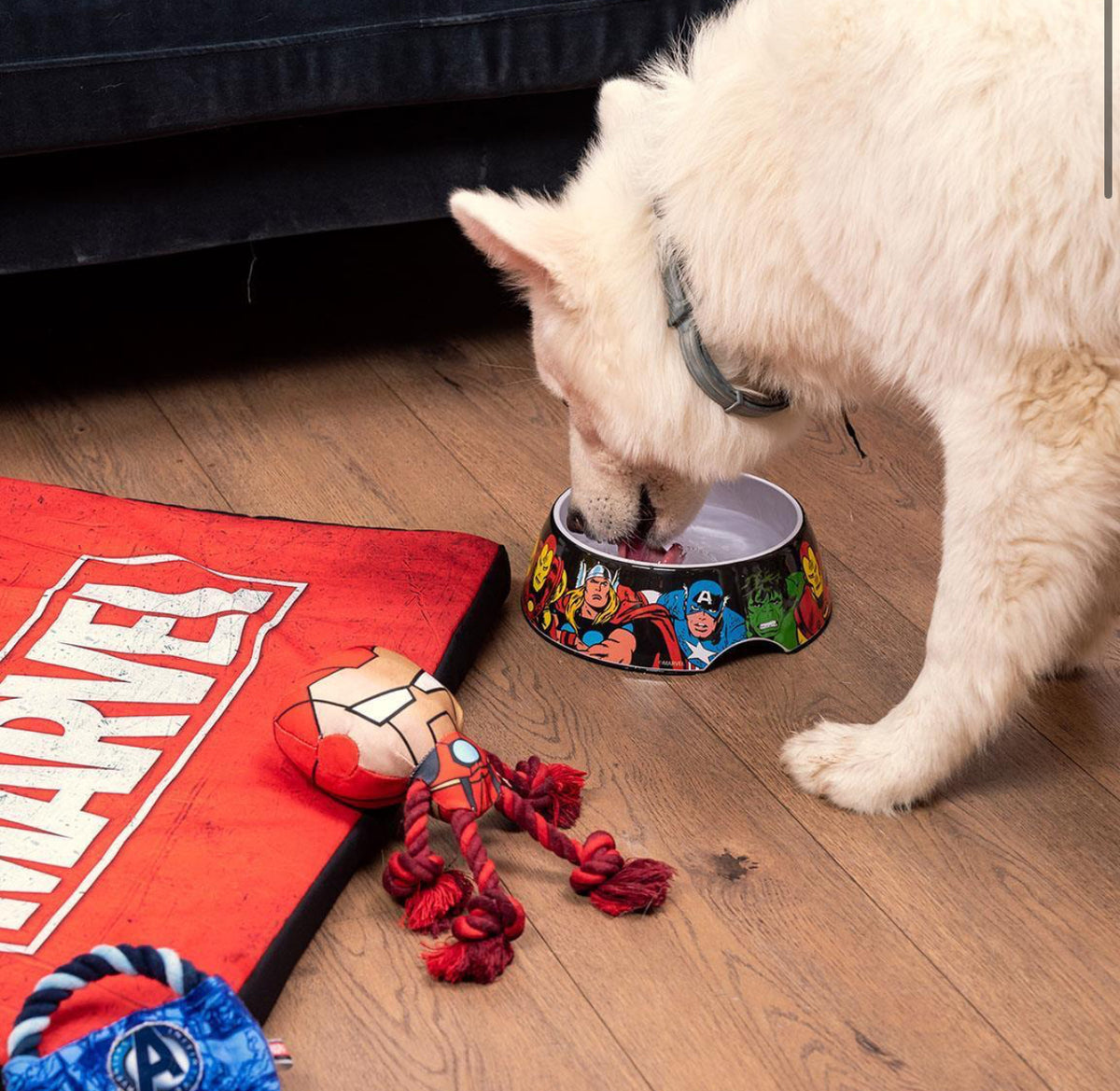 Ciotola "Avengers Assemble" – In Acciaio Inossidabile per Cani e Gatti