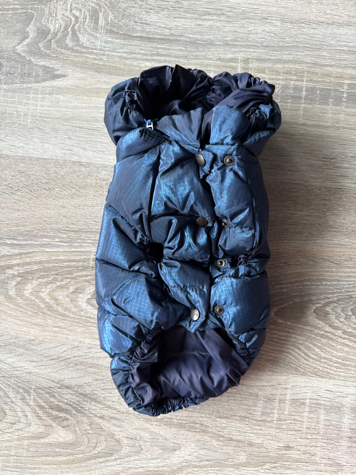 Giubbotto Imbottito per Cani Teo & Cool Blu con Cappuccio Removibile – Made in Italy