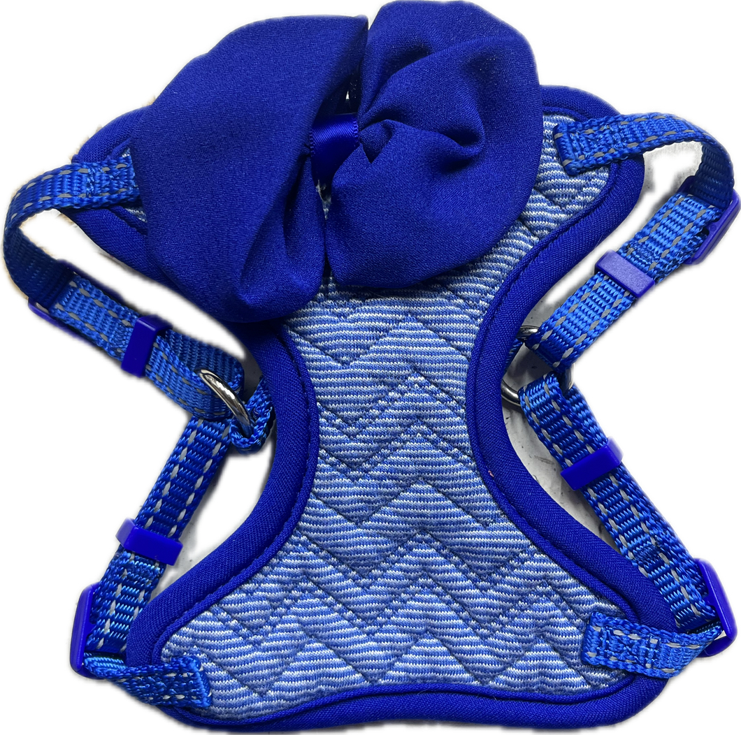 Pettorina Elegante Blu con Fiocco per Animali Domestici
