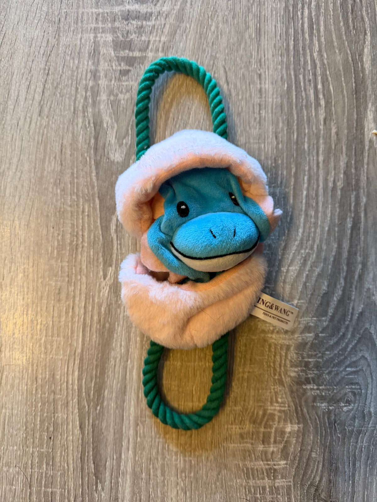 Gioco per Cani Dinosauro in Peluche con Doppia Corda