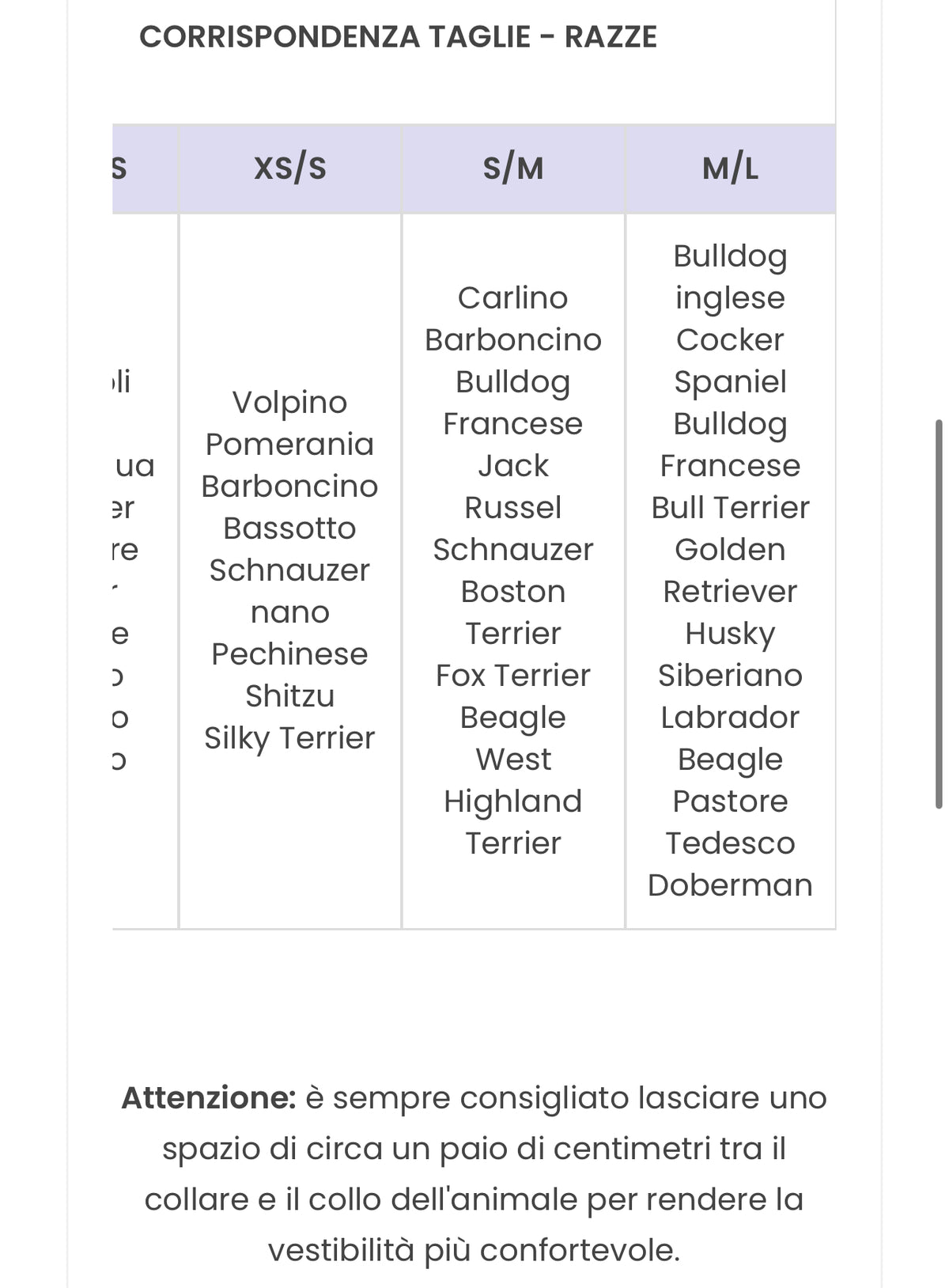 Set Collare e Guinzaglio Batman: Potenza e Stile del Cavaliere Oscuro per il Tuo Cane