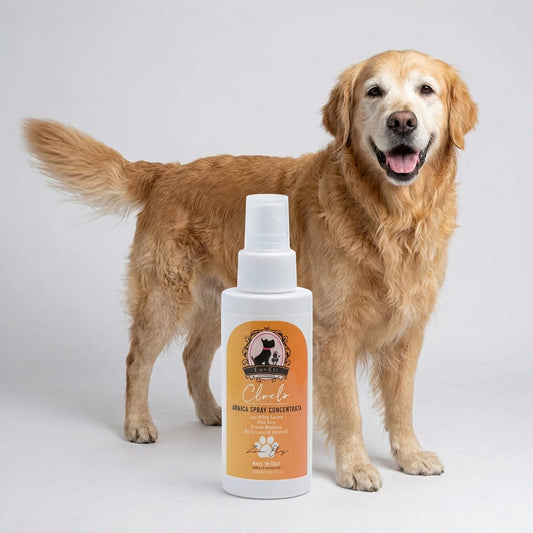 CLOCLÒ – Arnica Spray Concentrata | Sollievo Naturale Muscoli e Articolazioni