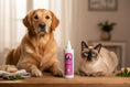 Carica l'immagine nel visualizzatore della galleria, KISOU – Pelo e Zampe Puliti | Spray Igienizzante Naturale per Cani
