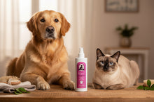 Carica l'immagine nel visualizzatore di Gallery, KISOU – Pelo e Zampe Puliti | Spray Igienizzante Naturale per Cani

