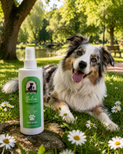 Carica l'immagine nel visualizzatore di Gallery, GOLIA – Allontana Insetti | Spray Naturale Protettivo per Cani
