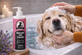 Carica l'immagine nel visualizzatore della galleria, Set Shampoo + Balsamo alla Canapa Nuova Zelanda per Cani e Gatti

