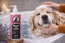 Carica l'immagine nel visualizzatore di Gallery, Balsamo PROFESSIONALE "Nuova Zelanda", alla Canapa LovEly – Districante, Nutriente e Riequilibrante per Cani e Gatti | Made in Italy 250ml
