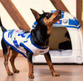 Carica l'immagine nel visualizzatore della galleria, Maglietta R2-D2 Star Wars: Lo Stile Galattico per il Tuo Cane

