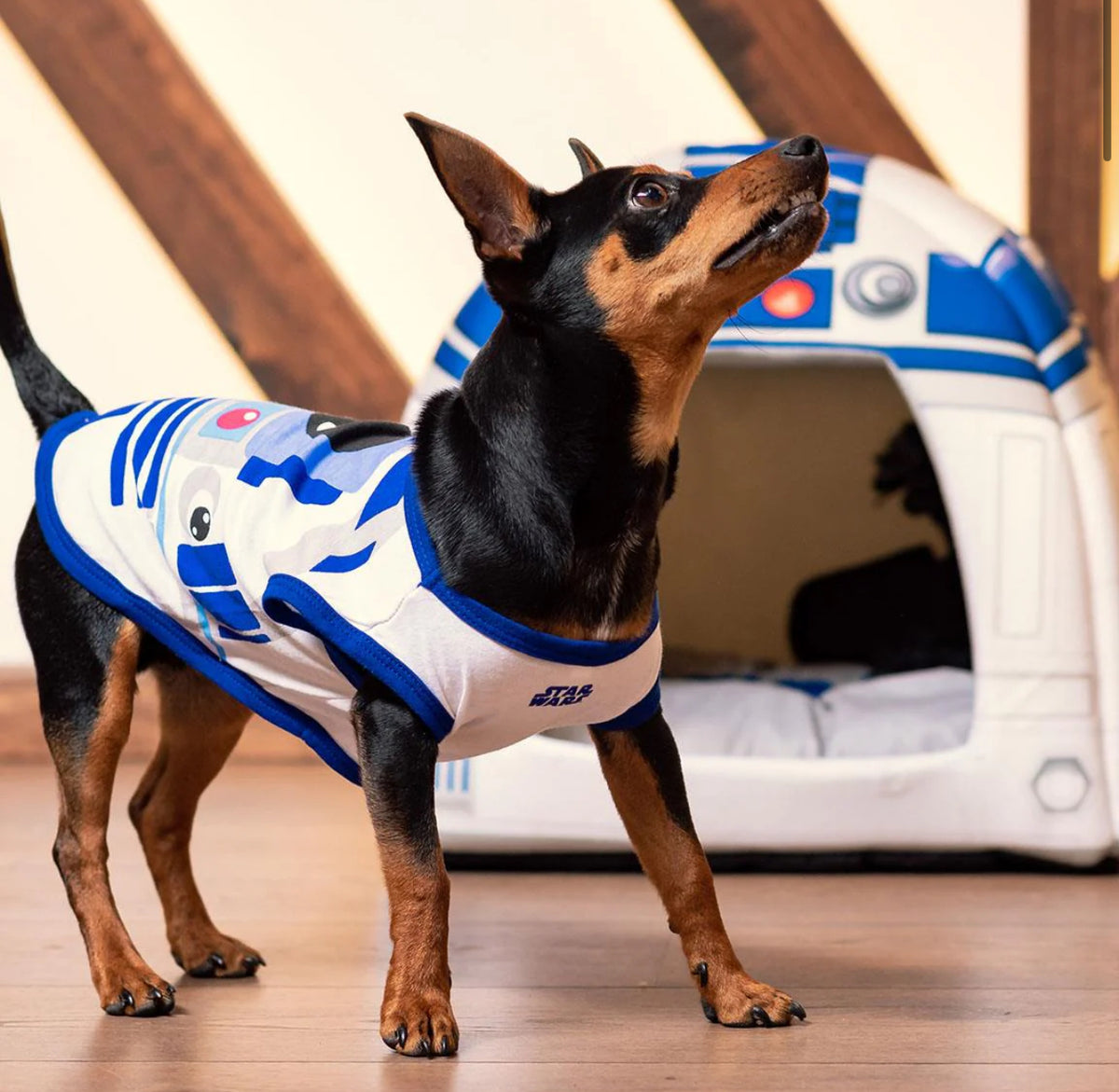 Maglietta R2-D2 Star Wars: Lo Stile Galattico per il Tuo Cane
