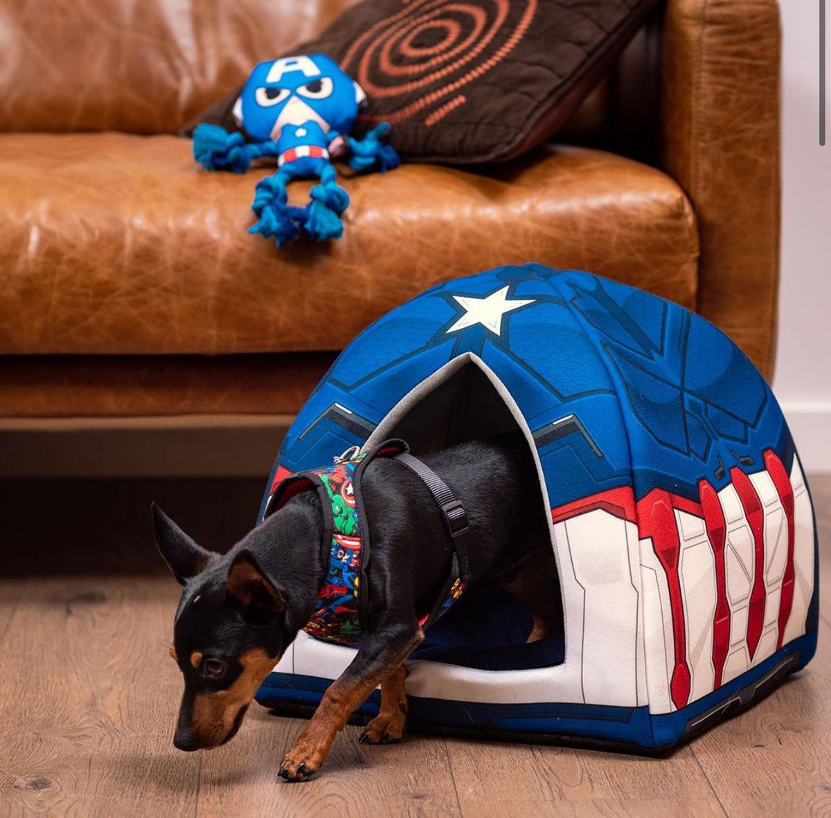 Gioco Corda Marvel: Capitan America per Tiri Eroici con il Tuo Cane