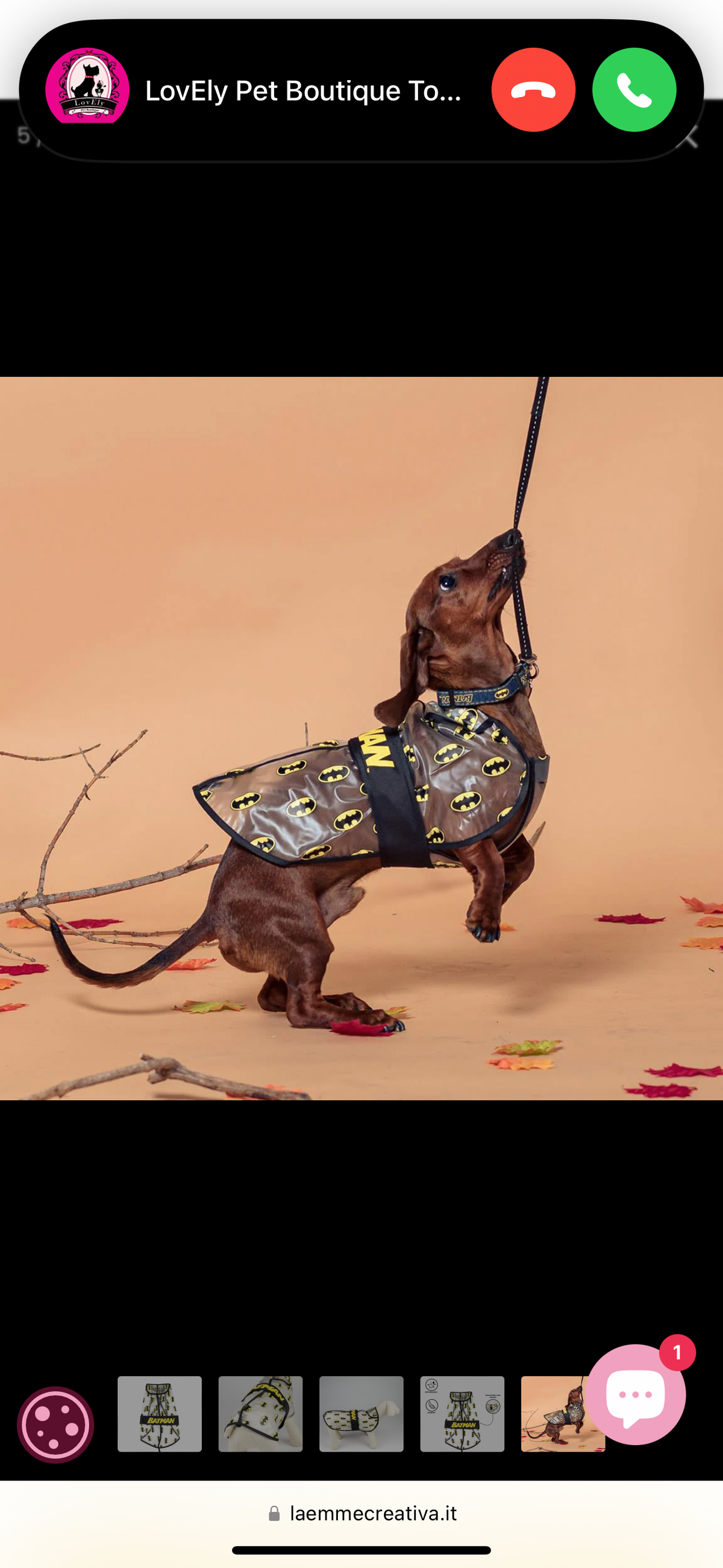 Impermeabile Batman: Proteggi il Tuo Cane dalla Pioggia con lo Stile del Cavaliere Oscuro