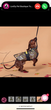 Carica l&#39;immagine nel visualizzatore di Gallery, Impermeabile Batman: Proteggi il Tuo Cane dalla Pioggia con lo Stile del Cavaliere Oscuro
