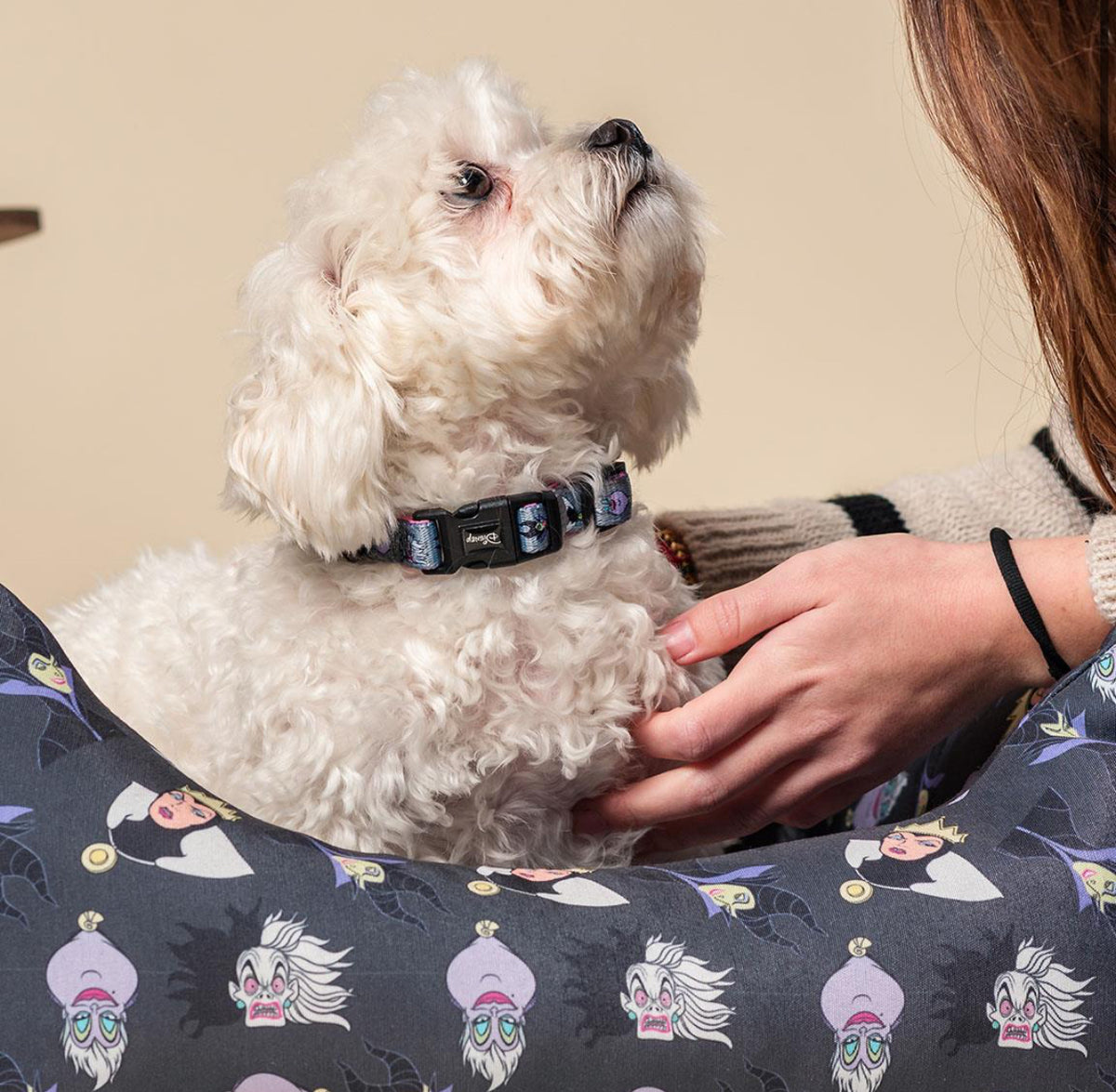Collare Disney Villains: Un Tocco di Stile Malvagio per il Tuo Cane