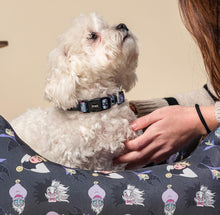 Carica l&#39;immagine nel visualizzatore di Gallery, Collare Disney Villains: Un Tocco di Stile Malvagio per il Tuo Cane
