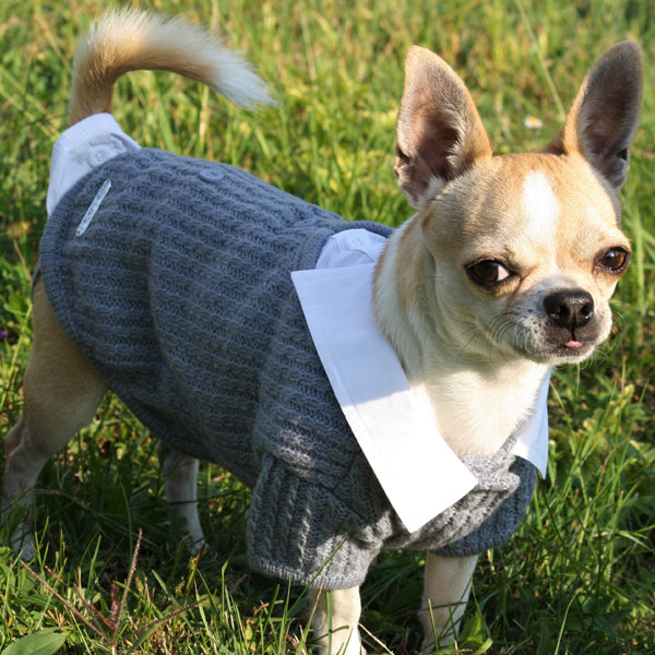 Maglioncino Elegante con Camicia per il Tuo Amico a Quattro Zampe