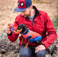 Carica l'immagine nel visualizzatore della galleria, Gioco Dentale Spider-Man: Lancia la Ragnatela del Divertimento per il Tuo Cane
