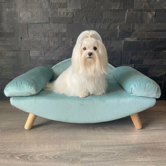Poltroncina Relax Azzurra per Cani e Gatti – Design Elegante con Schienale