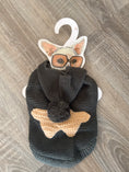 Carica l'immagine nel visualizzatore della galleria, Maglioncino Grigio con Stella e Cappuccio Pompon per Cani – XS 25 cm
