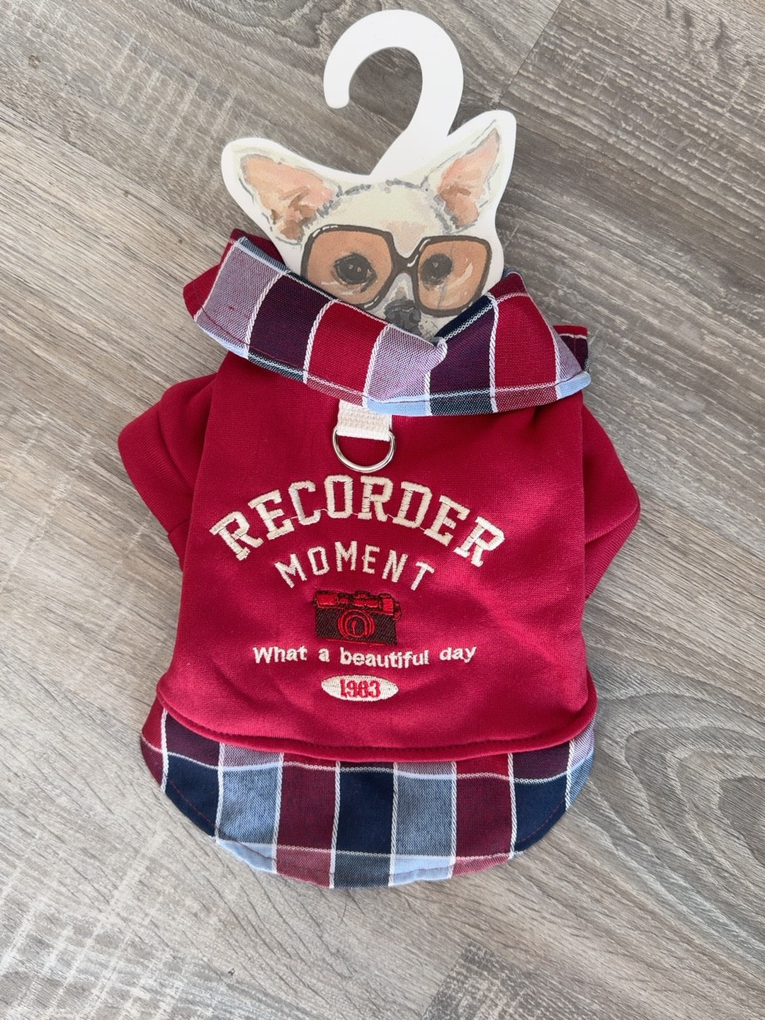 Felpa Rossa Recorder Moment con Cappuccio Scozzese per Cani – XS 25 cm - fronte