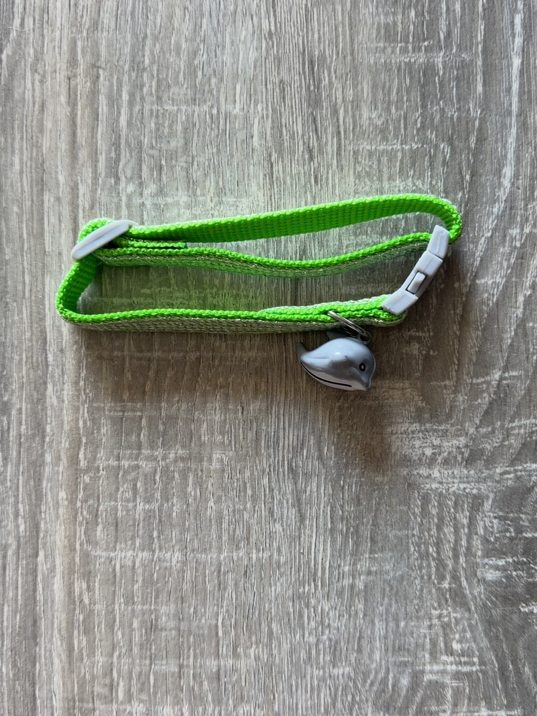 Verde con delfino grigio